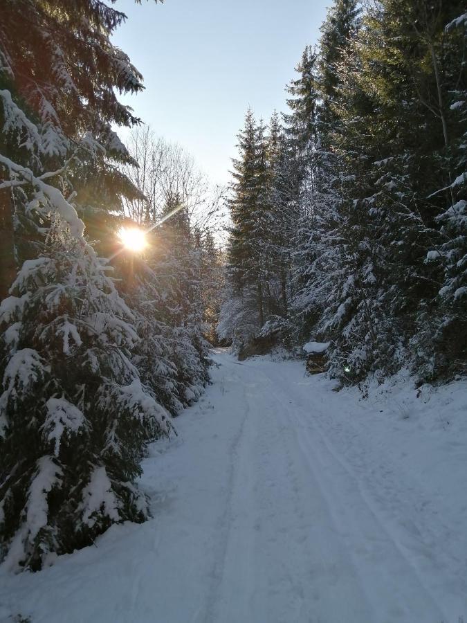 Hecherhof Thiersee Exterior foto