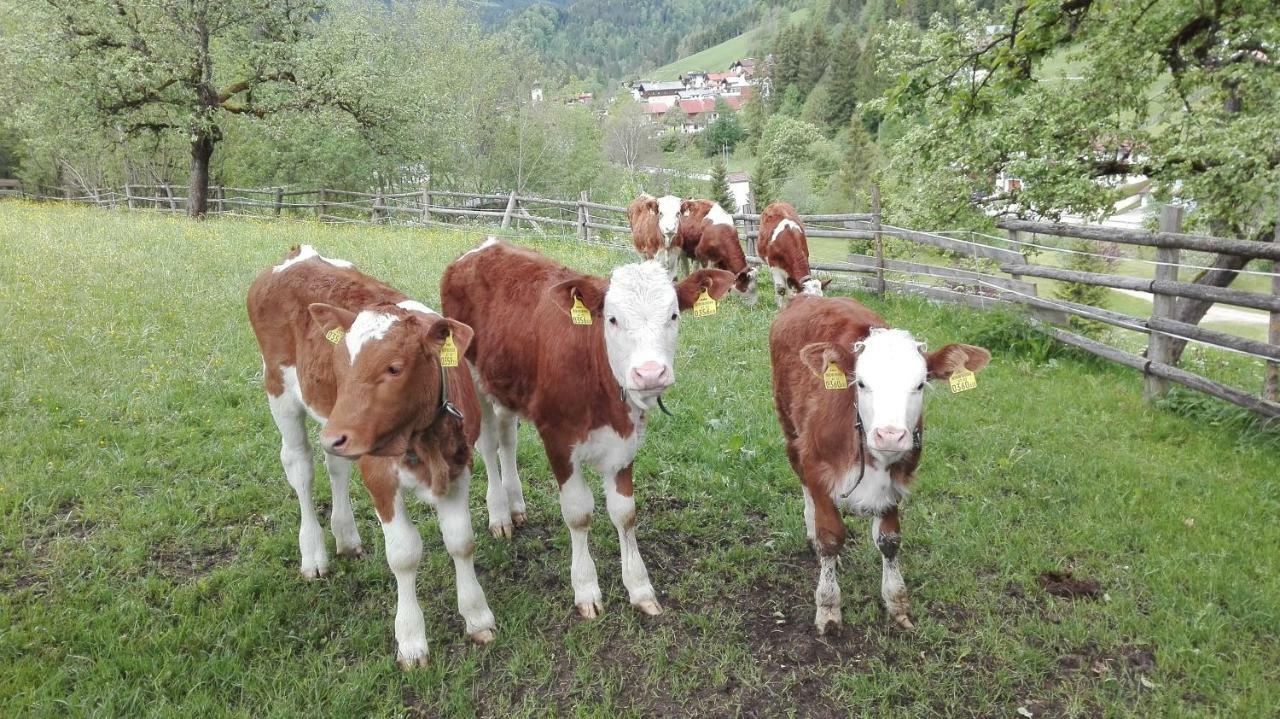 Hecherhof Thiersee Exterior foto