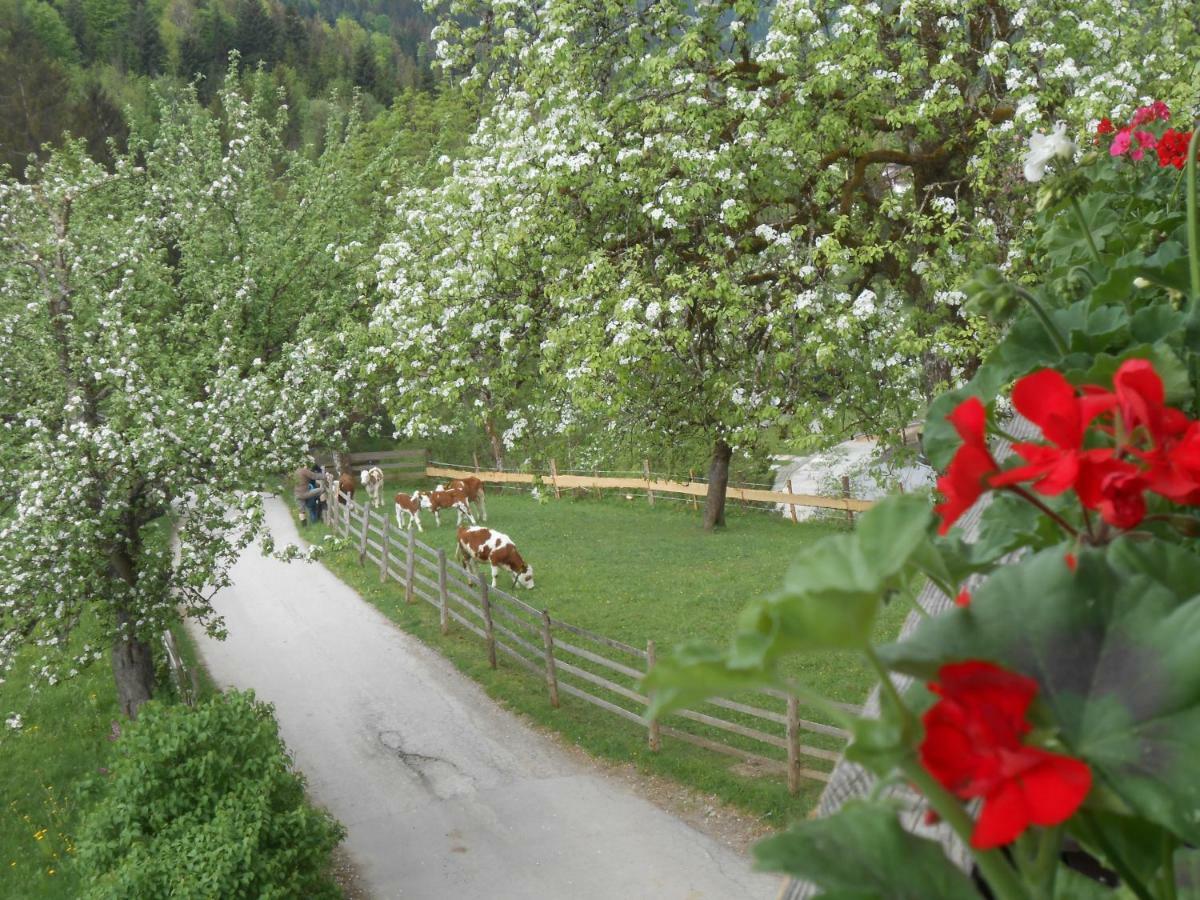 Hecherhof Thiersee Exterior foto